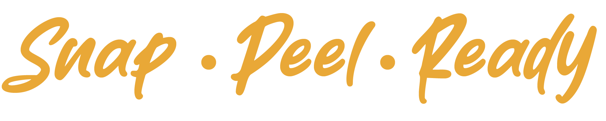 EdgeFile X7 Logo snap peel ready