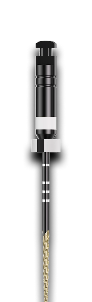 Onyx File