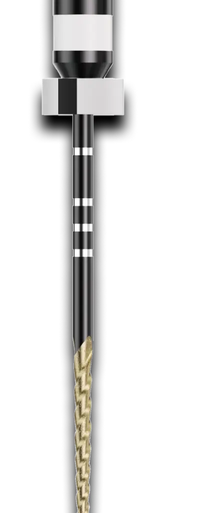 Onyx File