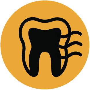 Tooth Icon