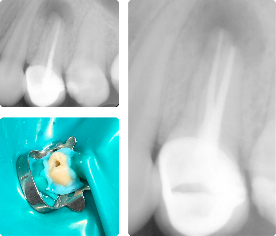 Case Study Images