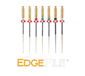 Web Less Tall 2EdgeFile